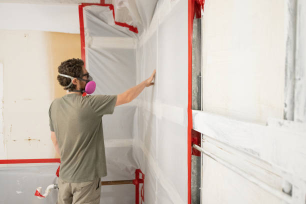 Best Comprehensive Air Testing for Mold Contaminants  in Westmont, CA