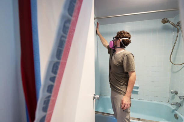 Reliable Westmont, CA Mold Removal Solutions