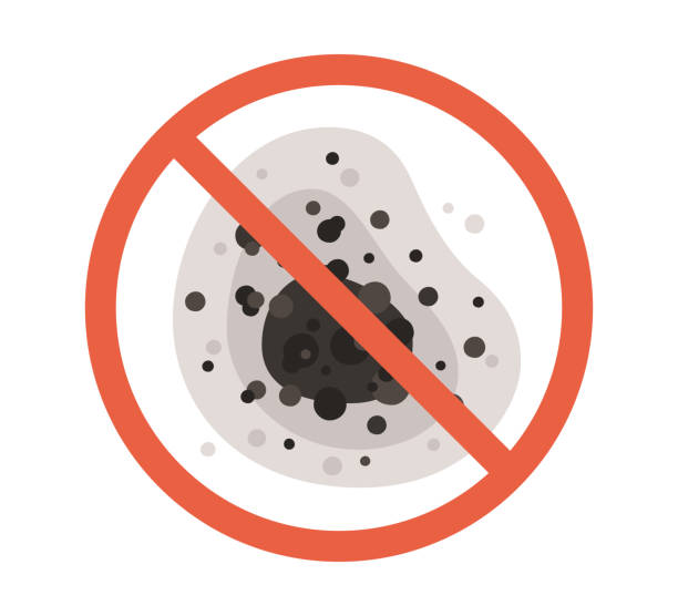  Westmont, CA Mold Removal Pros