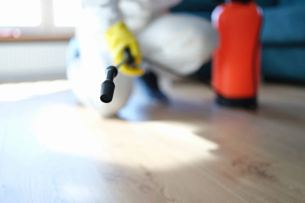 Best Real Estate Mold Inspection  in Westmont, CA