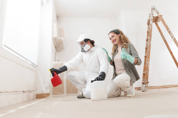 Best Post-Remediation Verification Testing  in Westmont, CA